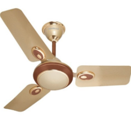 Ceiling fan