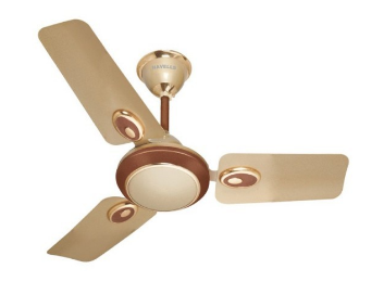 Ceiling fan