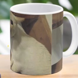 set of 22 high-quality ceramic mugs