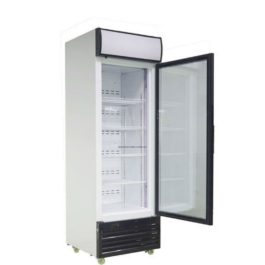 Sayona Showcase SC 8820