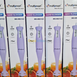 Multismart Hand Blender