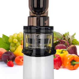 slow juicer