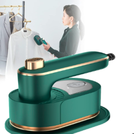 Mini steam iron